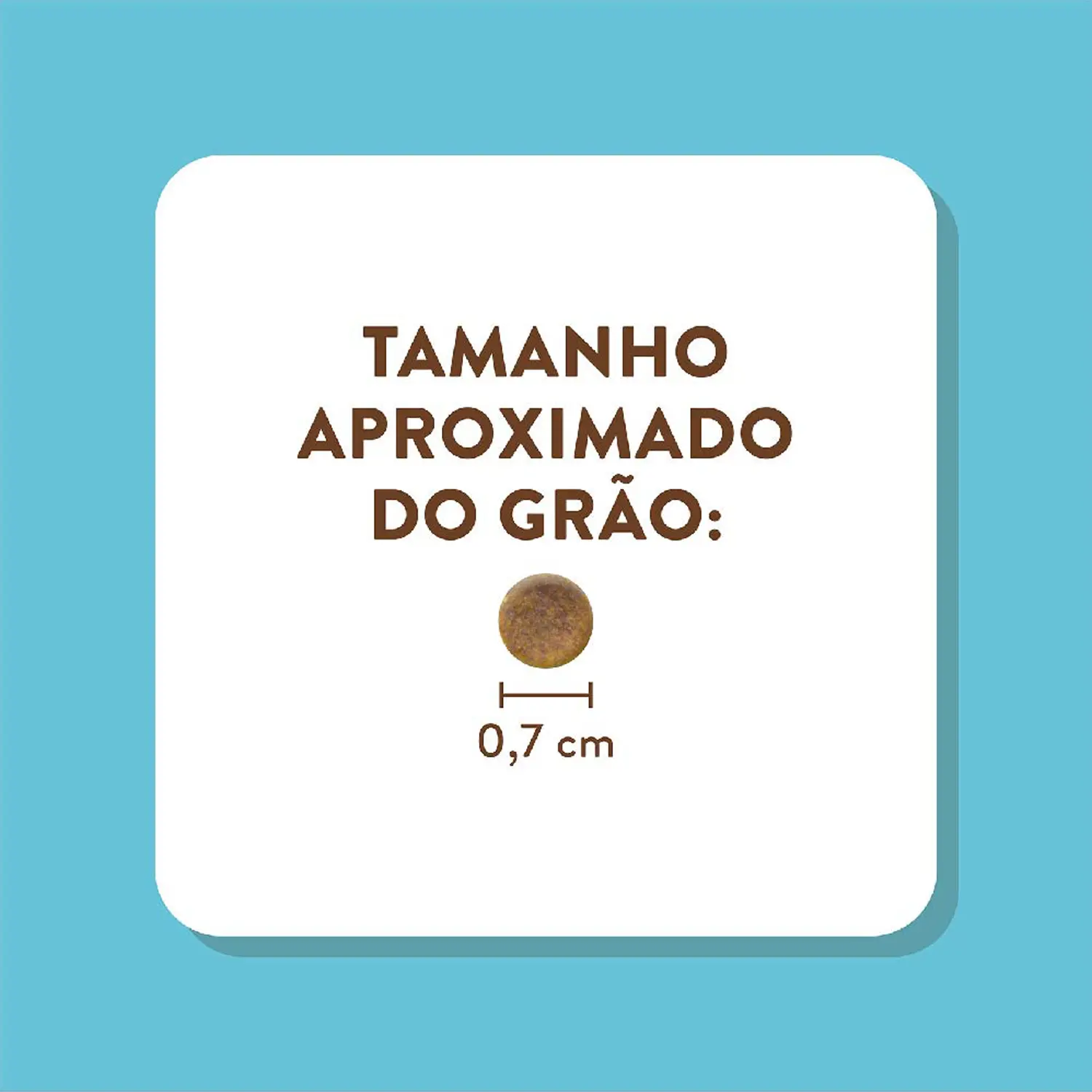 6-Tamanho-do-Grao