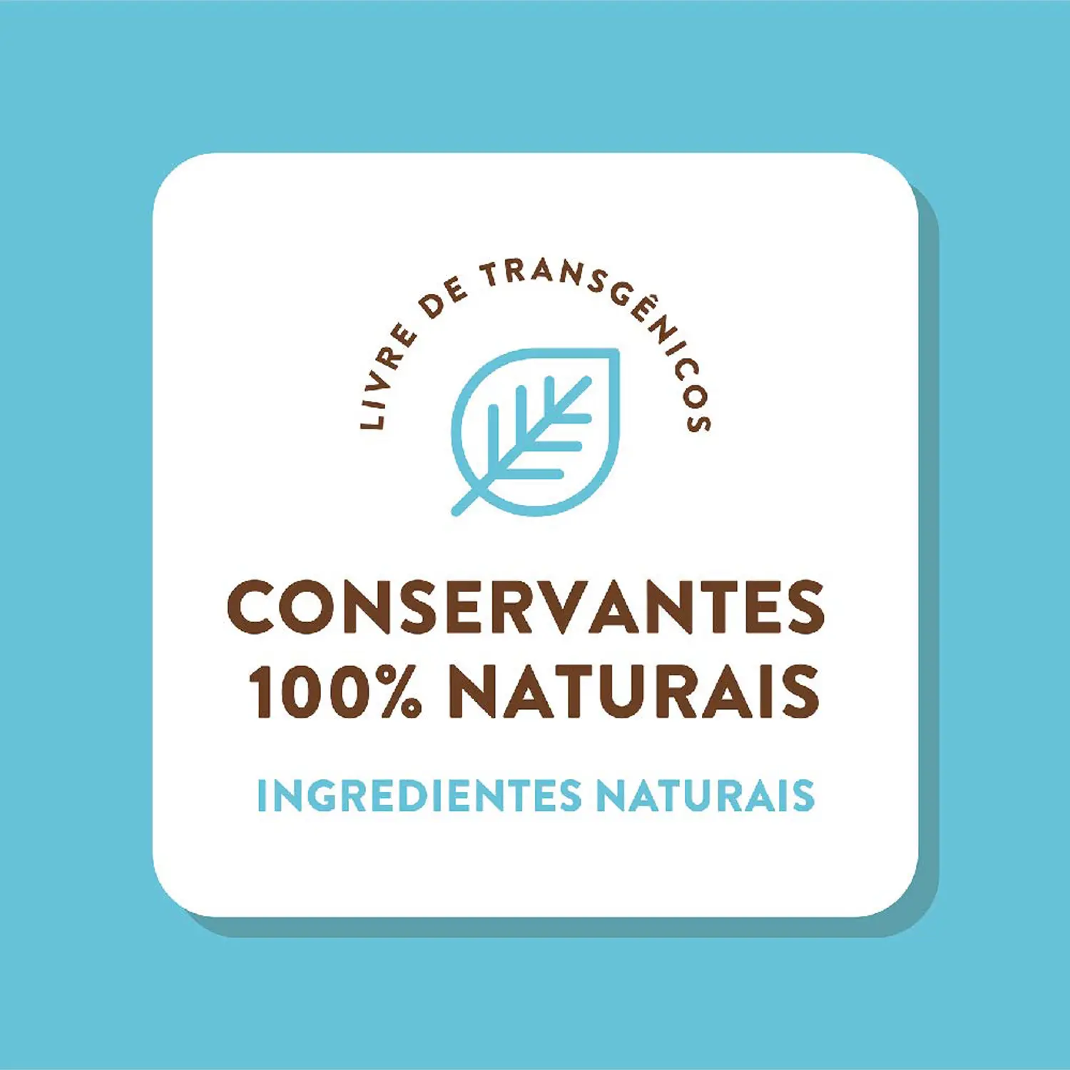 8-Conservantes-Naturais