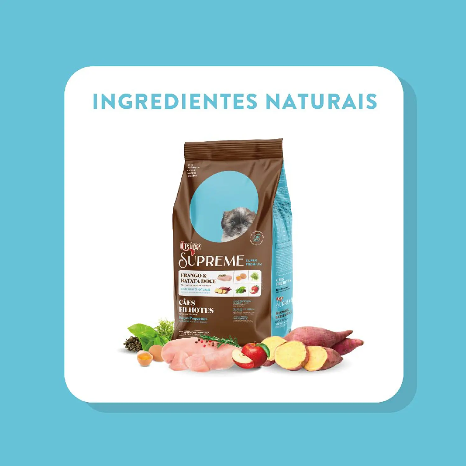 9-Ingredientes-naturais