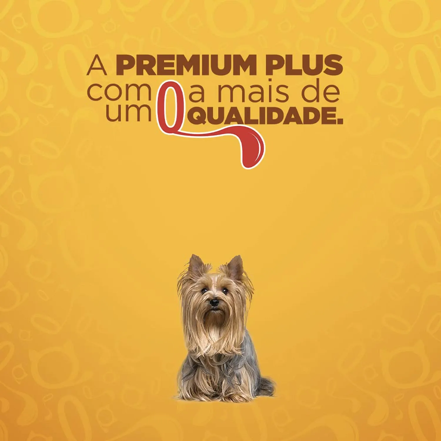 10-Qualidade-Premium-Plus