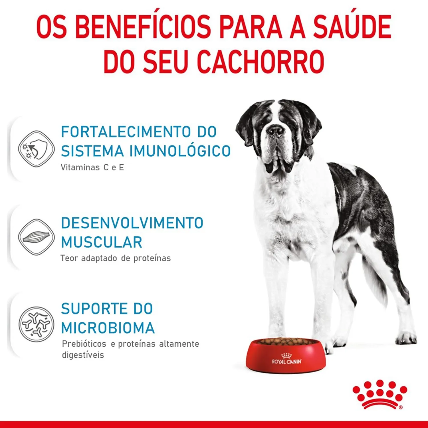 Ração Royal Canin Giant Puppy para Cães Gigantes Filhotes de 8 a 24 meses