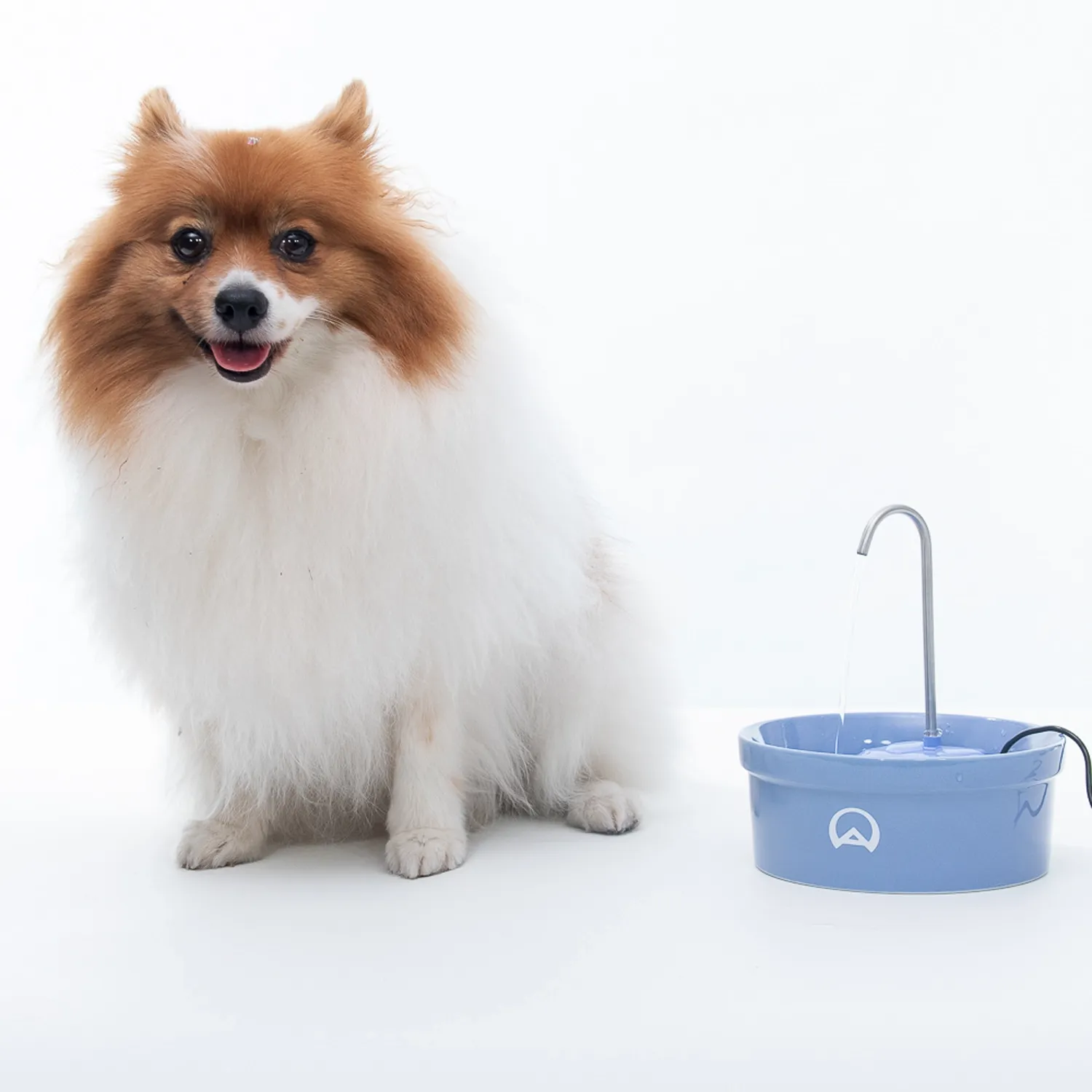 Aqua-Porcelain-Amicus-Bivolt-Azul-Cachorro