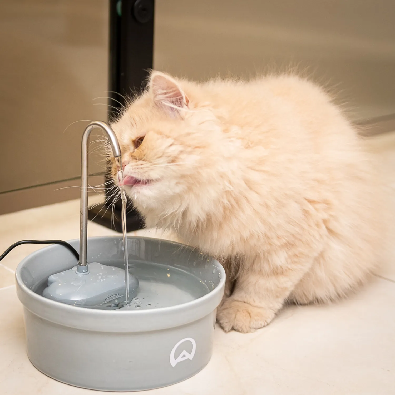 Fonte Bebedouro e Purificador Aqua Porcelain Amicus Bivolt Cinza