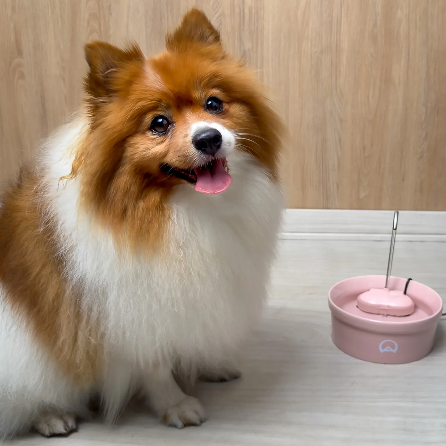 Aqua-Porcelain-Amicus-Bivolt-Rosa-Cachorro