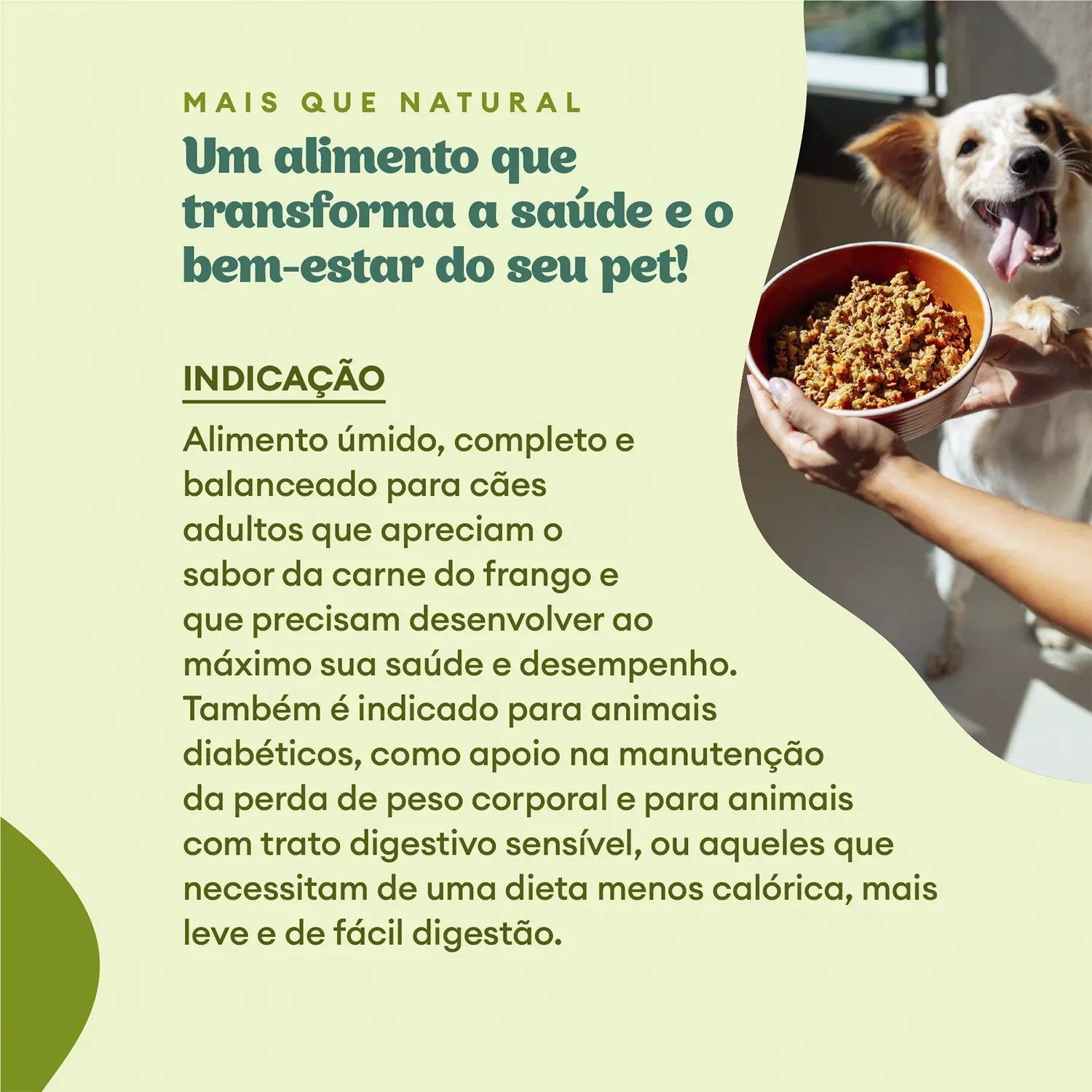 Indicacao