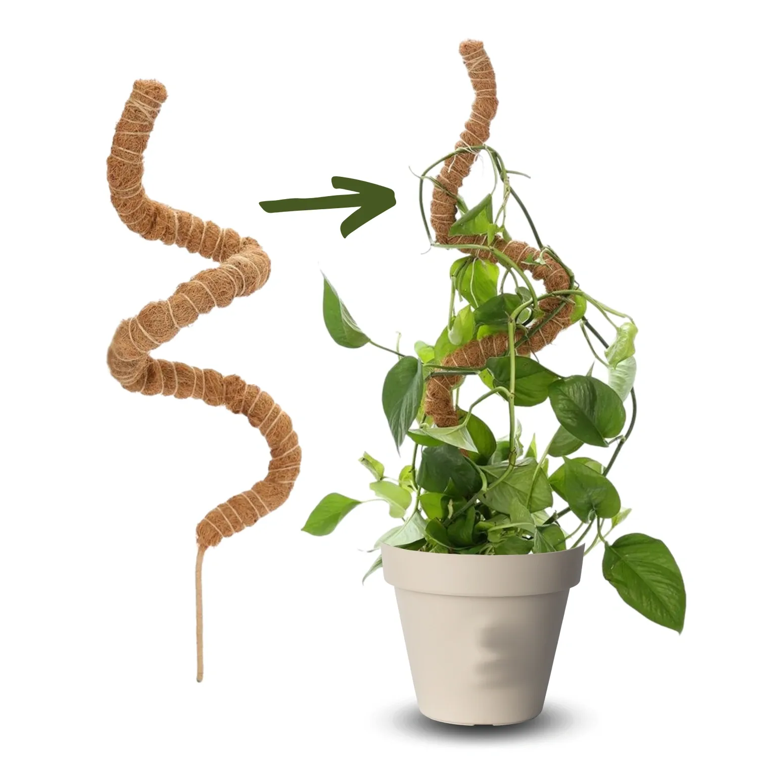 Tutor Maleável em Fibra de Coco para Plantas Top Garden