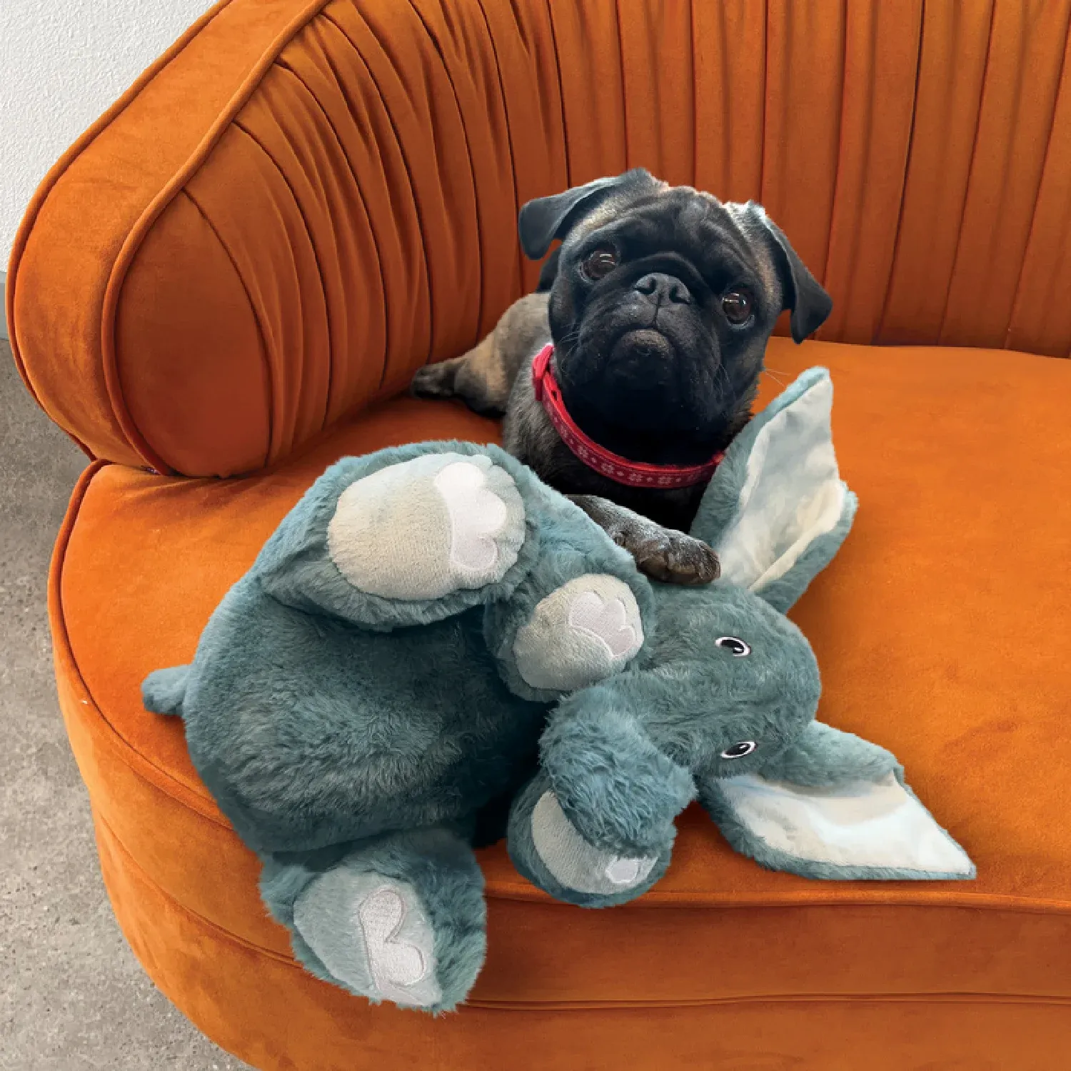 Brinquedo Pelúcia Kong Elefante Comfort Kiddos Jumbo