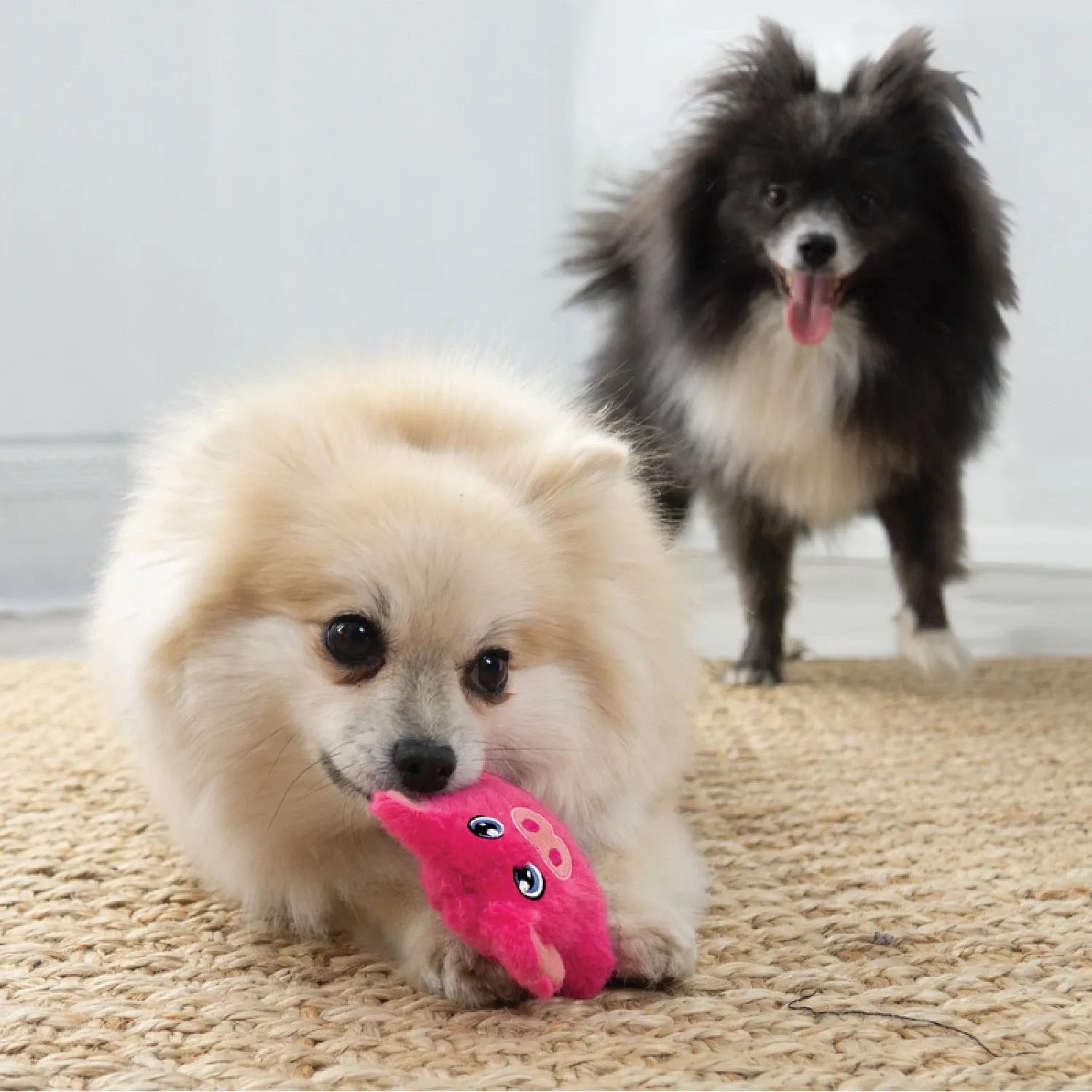Brinquedo Pelúcia Kong Porquinho Snuzzles Mini