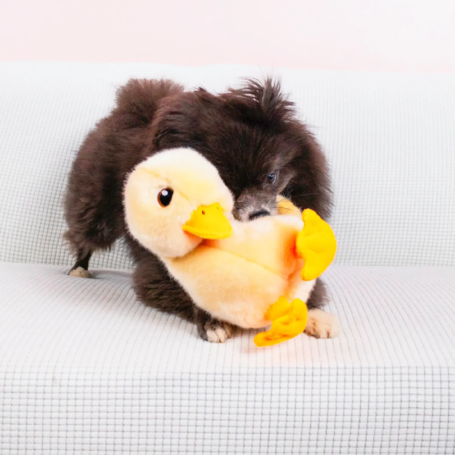 Brinquedo Pelúcia Kong Pato Toughz