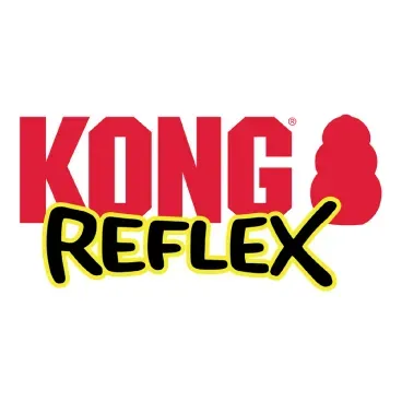 Logo-Kong-Reflex