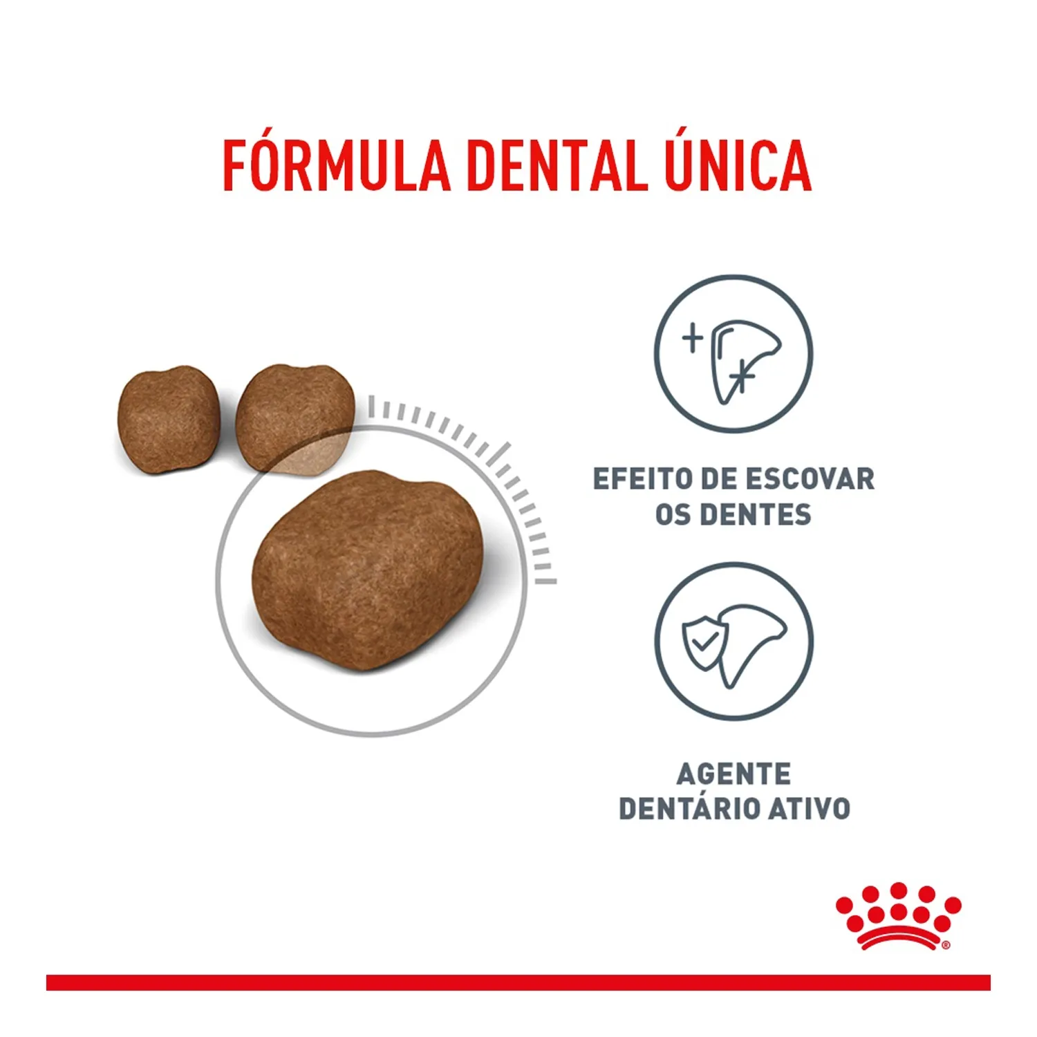 2_Racao-Royal-Canin-Dental-Care-para-Gatos-Adultos