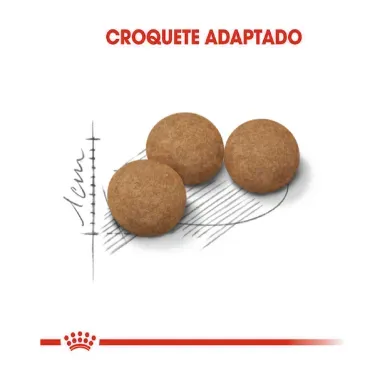 3_Racao Royal Canin para Gatos Adultos Castrados Acima de 12 anos