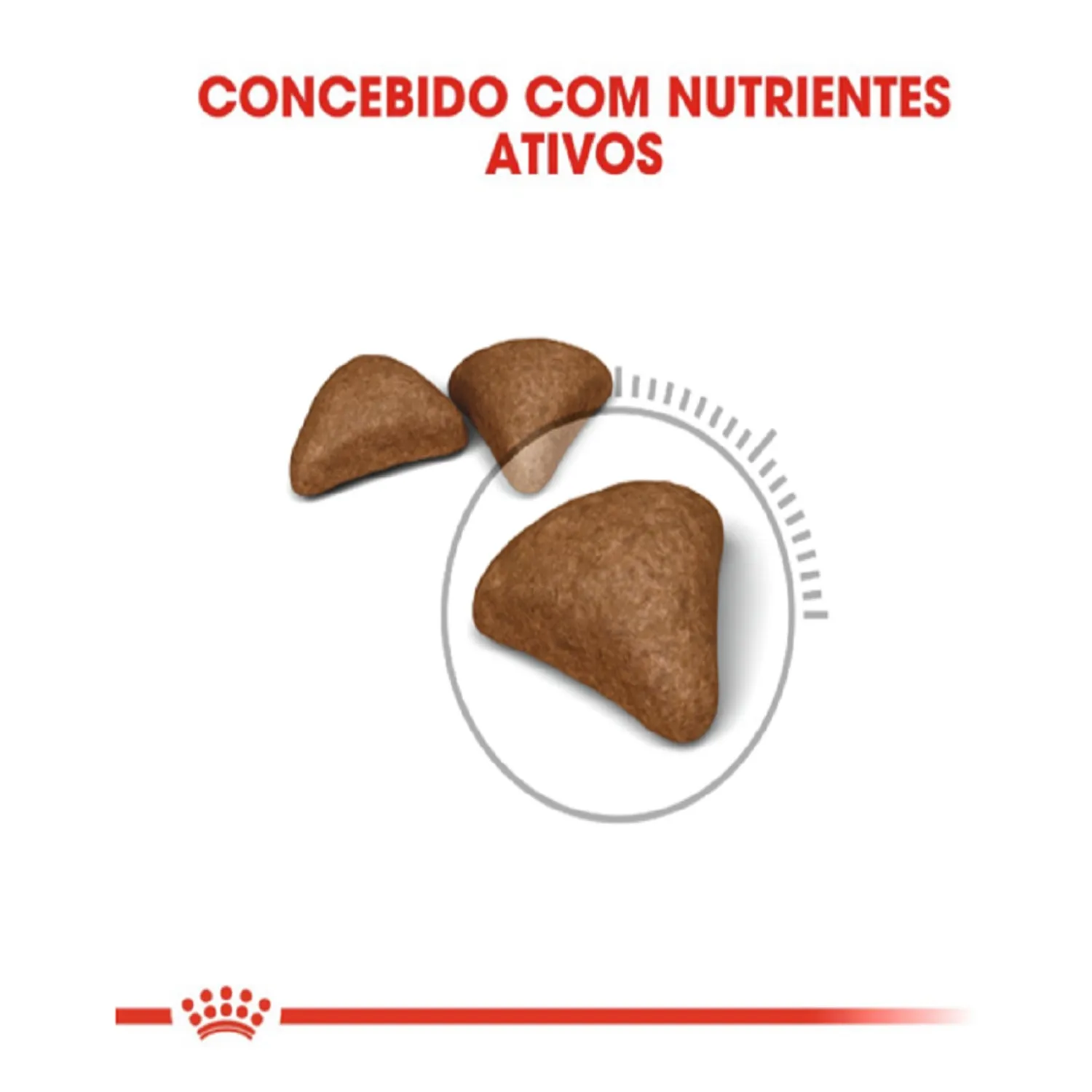 3_Racao-Royal-Canin-Bolas-de-Pelo-para-Gatos-Adultos