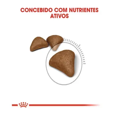 3_Racao-Royal-Canin-Bolas-de-Pelo-para-Gatos-Adultos