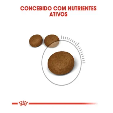 2_Racao Royal Canin Pele e Pelagem para Gatos Adultos