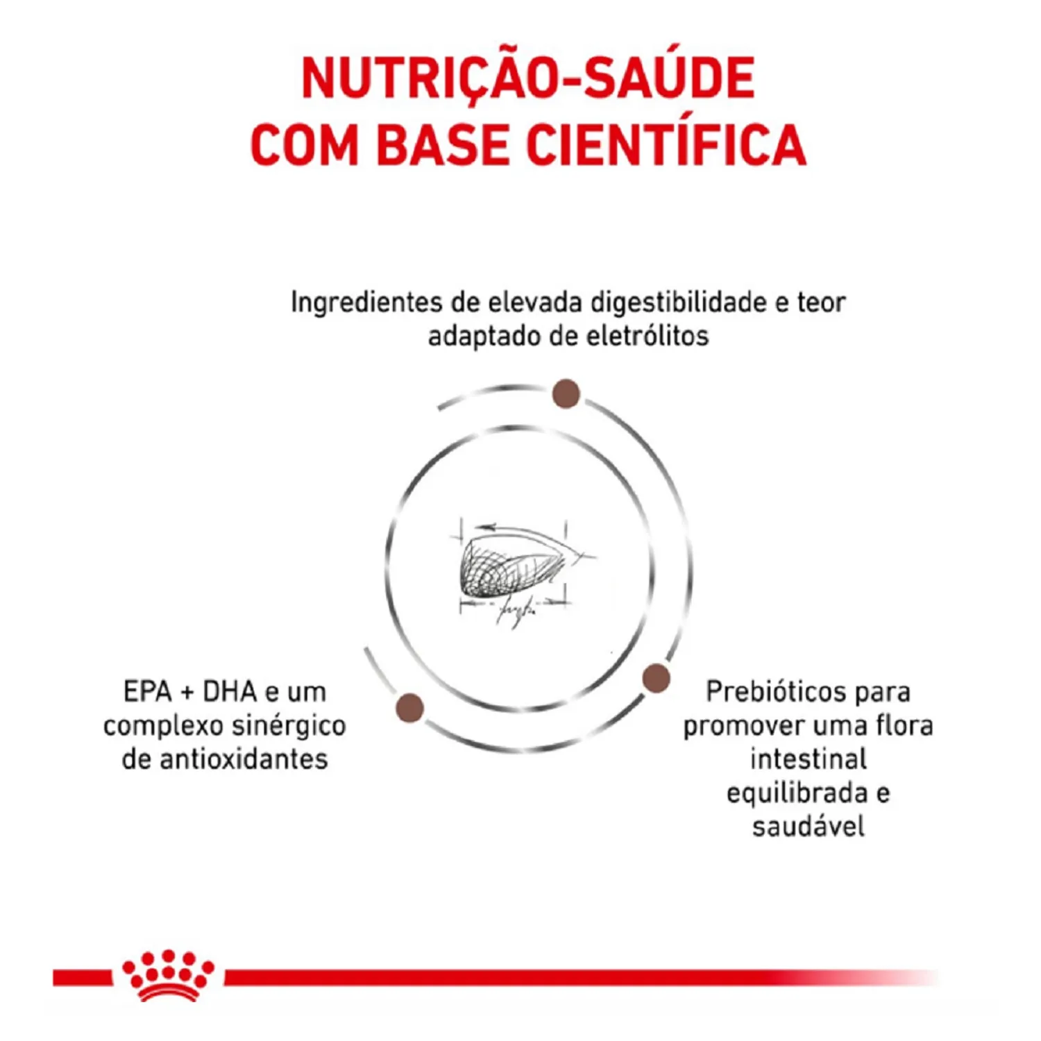 3_Racao-Royal-Canin-Veterinary-Diet-Gastrointestinal-Gatos-Adultos