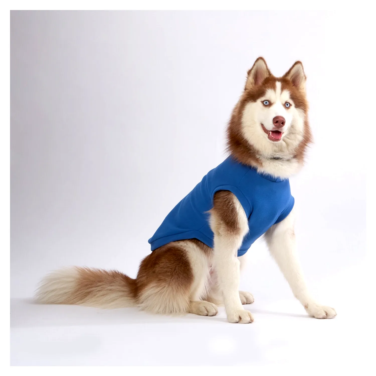 5_Camiseta Eat Play Love Azul Bichinho Chic