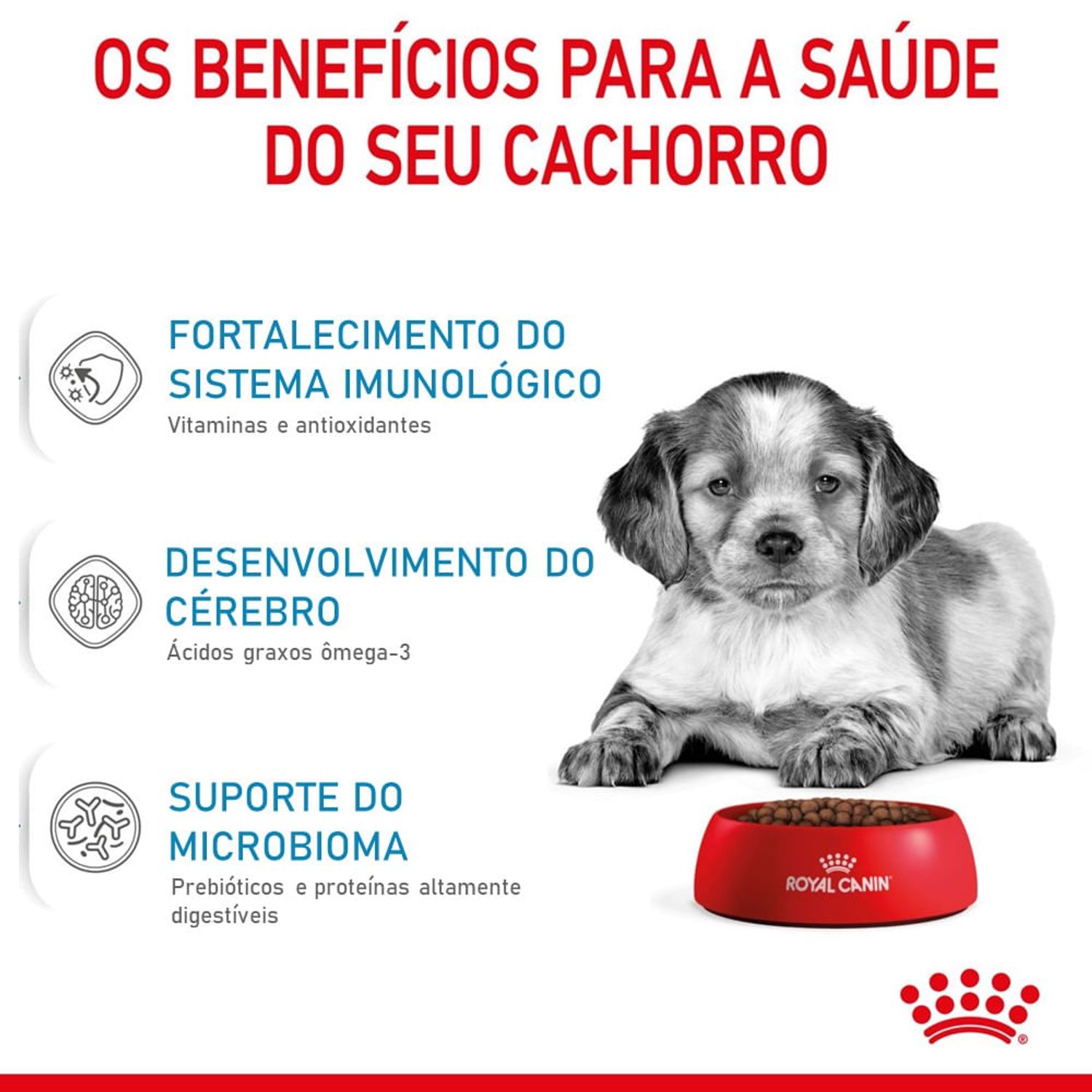 Racao-Royal-Canin-Medium-Puppy-Caes-Filhotes-Beneficios