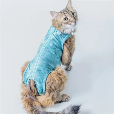 Roupa-Pos-Cirurgica-Dry-Ligth-Supreme-Gato-Laranja-Costas