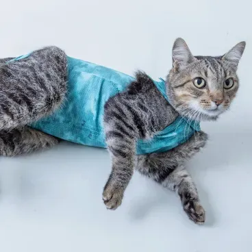 Roupa-Pos-Cirurgica-Dry-Ligth-Supreme-Gato-Cinza-Deitado