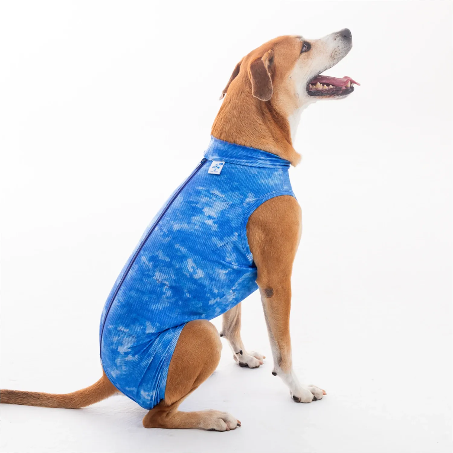 Roupa Pós-Cirúrgica Dry Light Supreme para Cães Machos Castração Pet Med Azul