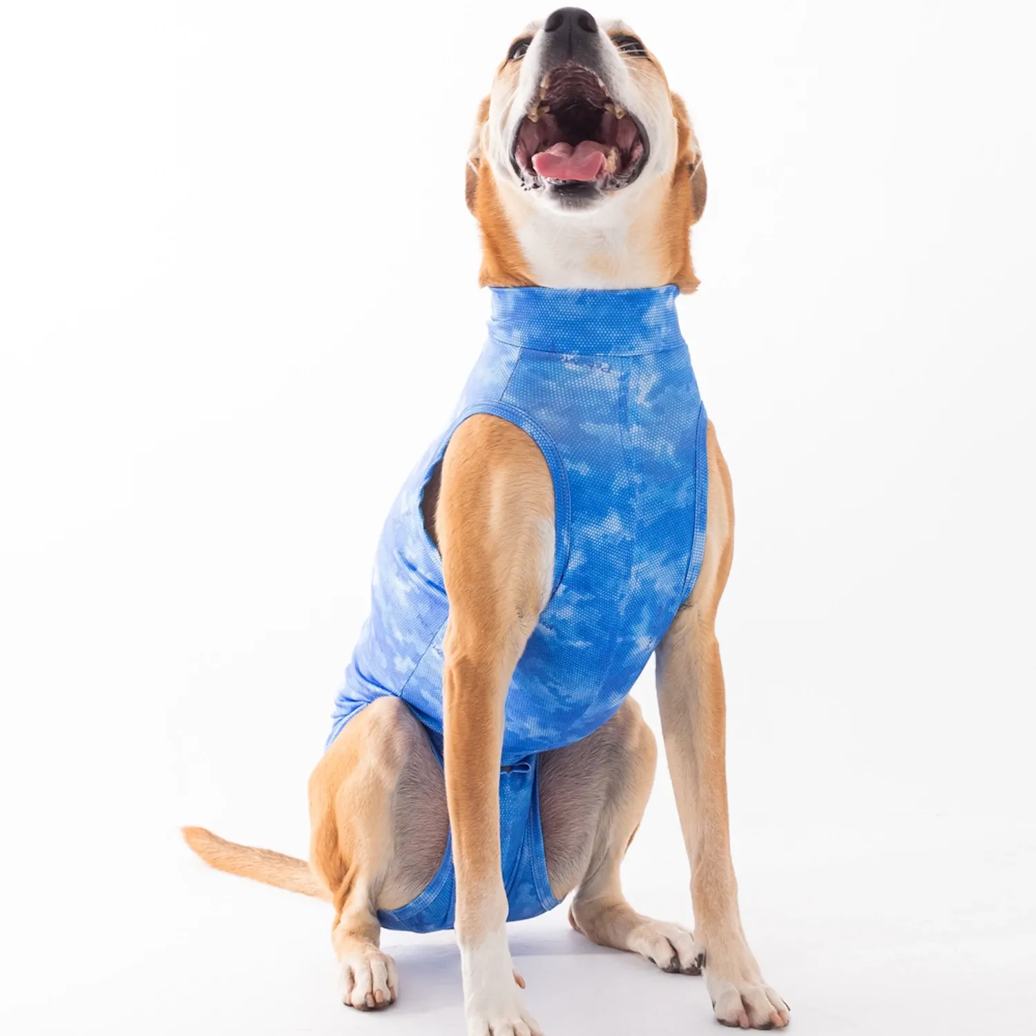 Roupa Pós-Cirúrgica Dry Light Supreme para Cães Machos Castração Pet Med Azul