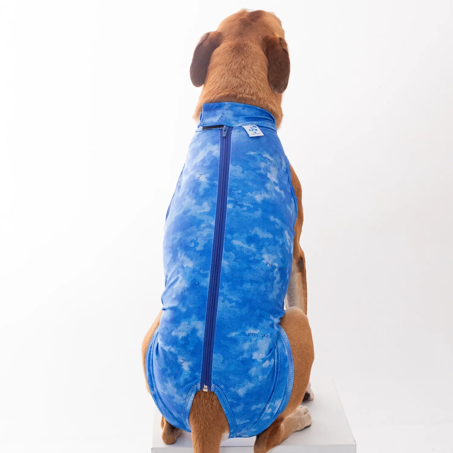 Roupa Pós-Cirúrgica Dry Light Supreme para Cães Machos Castração Pet Med Azul
