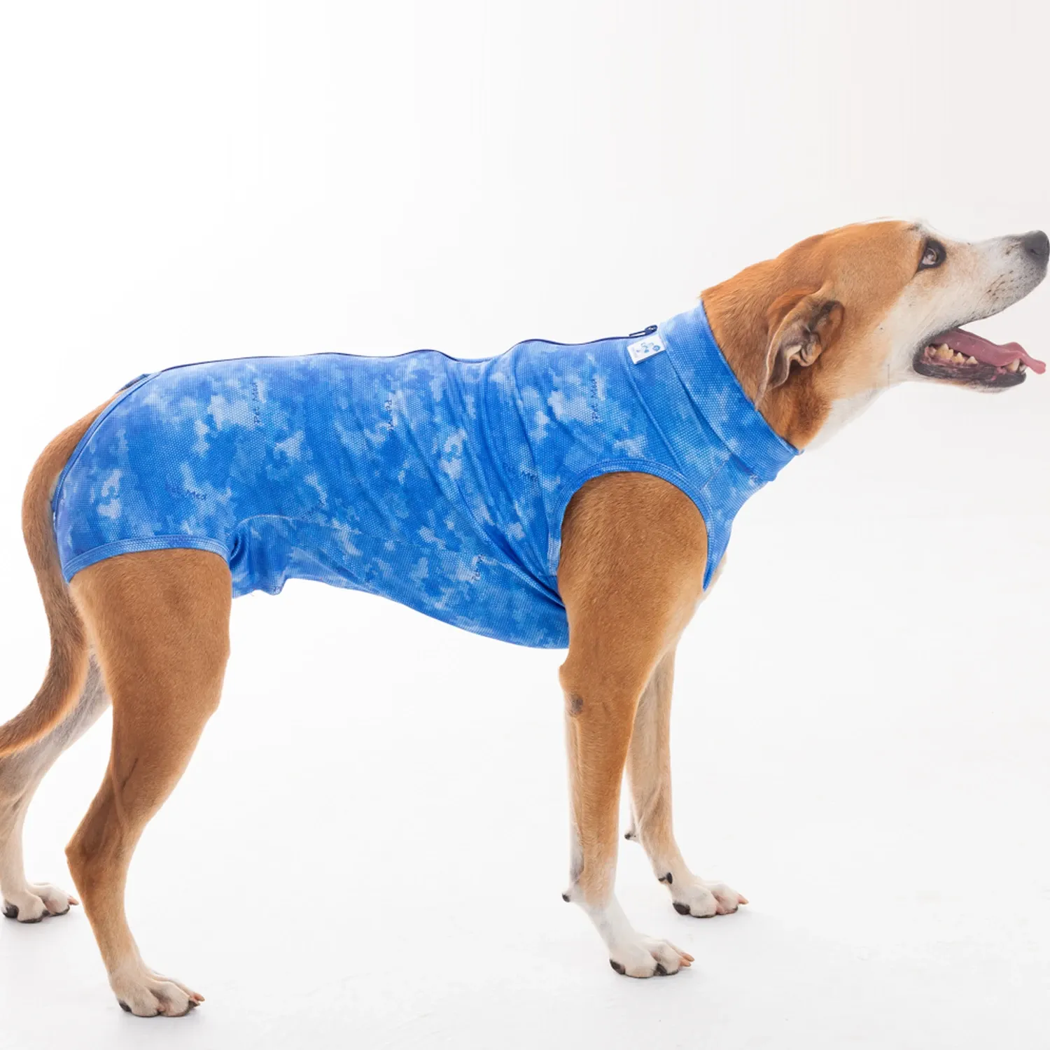 Roupa Pós-Cirúrgica Dry Light Supreme para Cães Machos Castração Pet Med Azul