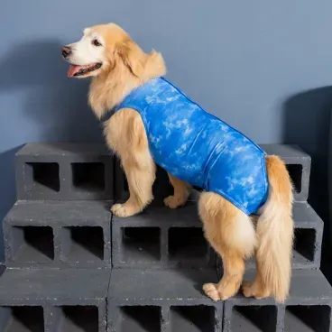 Dry-Ligth-Supreme-para-Caes-Machos-Subindo