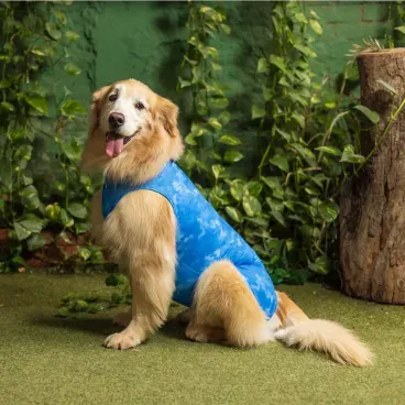 Dry-Ligth-Supreme-para-Caes-Machos-Ambiente