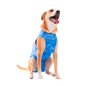 Roupa Pós-Cirúrgica Dry Light Supreme para Cães Machos Castração Pet Med Azul