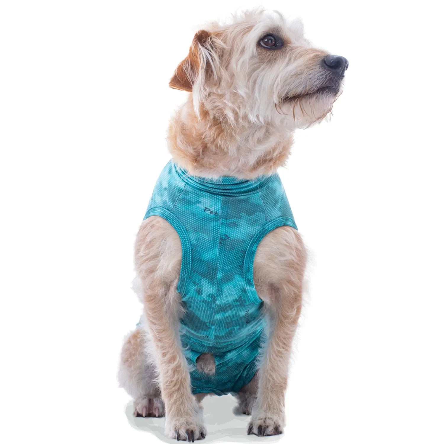 Roupa Pós-Cirúrgica Dry Light Supreme para Cães Pet Med Verde