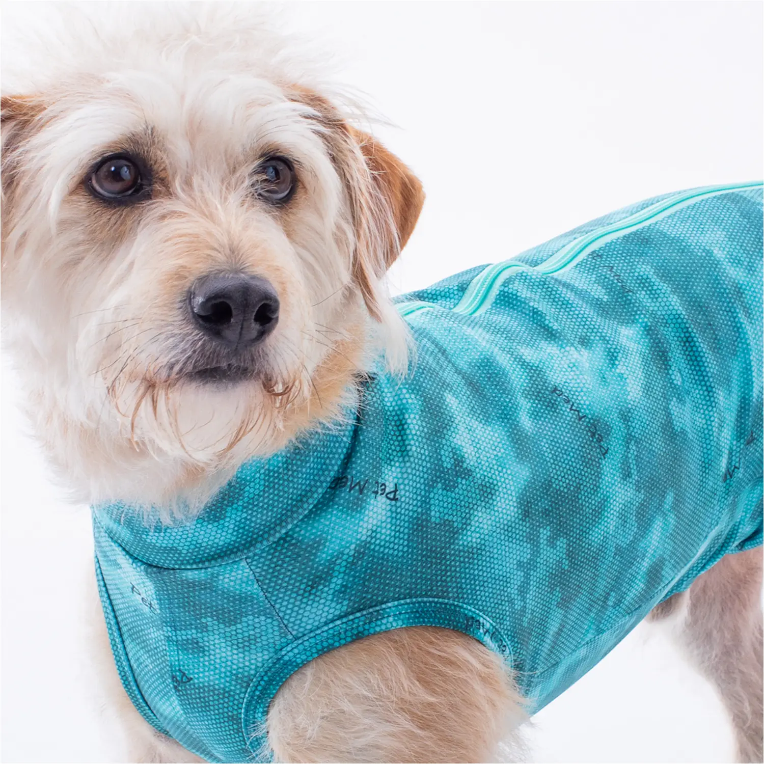 Roupa Pós-Cirúrgica Dry Light Supreme para Cães Machos e Fêmeas Pet Med Verde