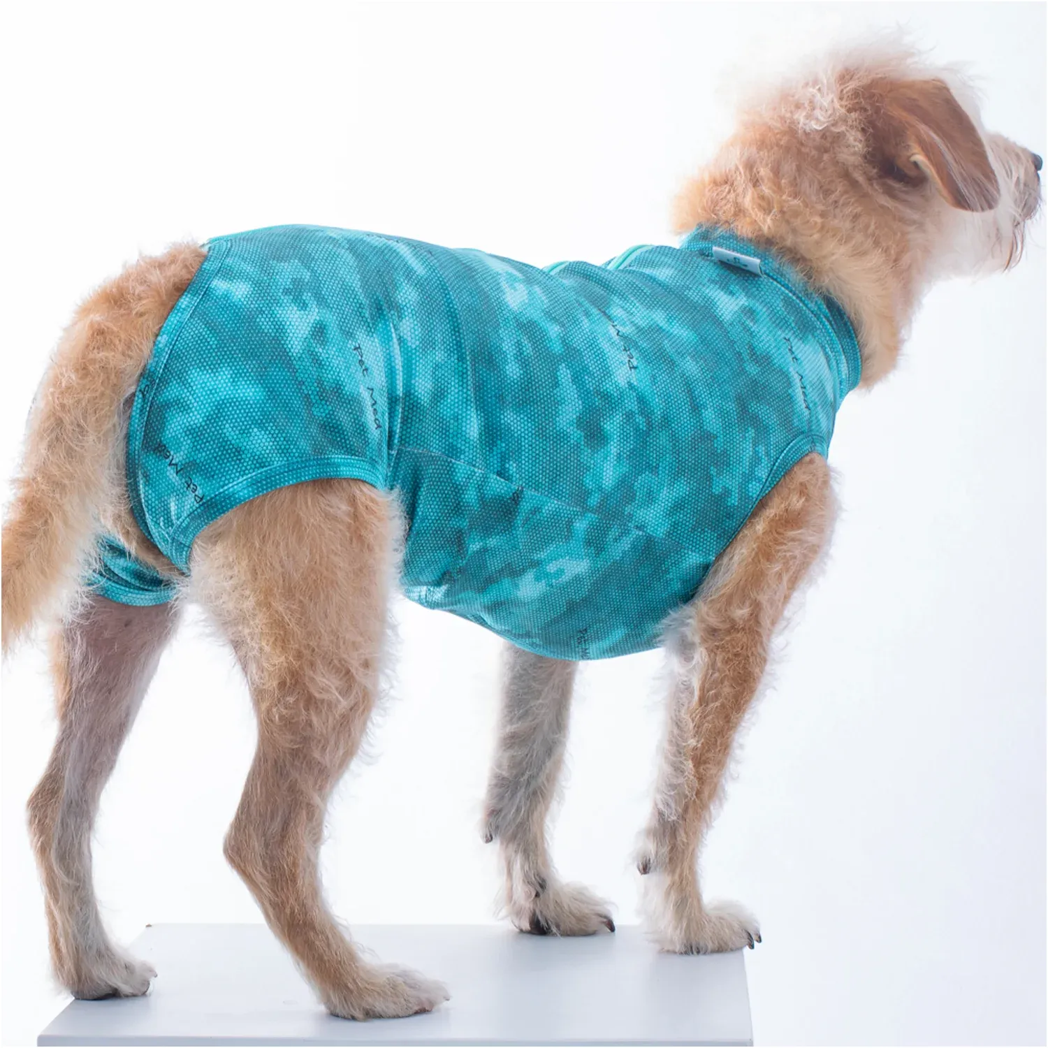 Roupa Pós-Cirúrgica Dry Light Supreme para Cães Machos e Fêmeas Pet Med Verde