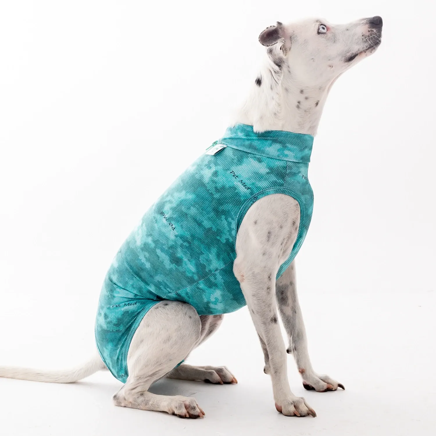 Roupa Pós-Cirúrgica Dry Light Supreme para Cães Machos e Fêmeas Pet Med Verde