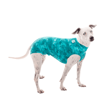 Roupa-Pos-Cirurgica-Dry-Ligth-Supreme-para-Caes-Machos-Pet-Med-Verde-lateral