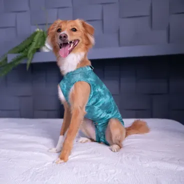 Dry-Light-Supreme-Verde-na-Cama-em-Pe