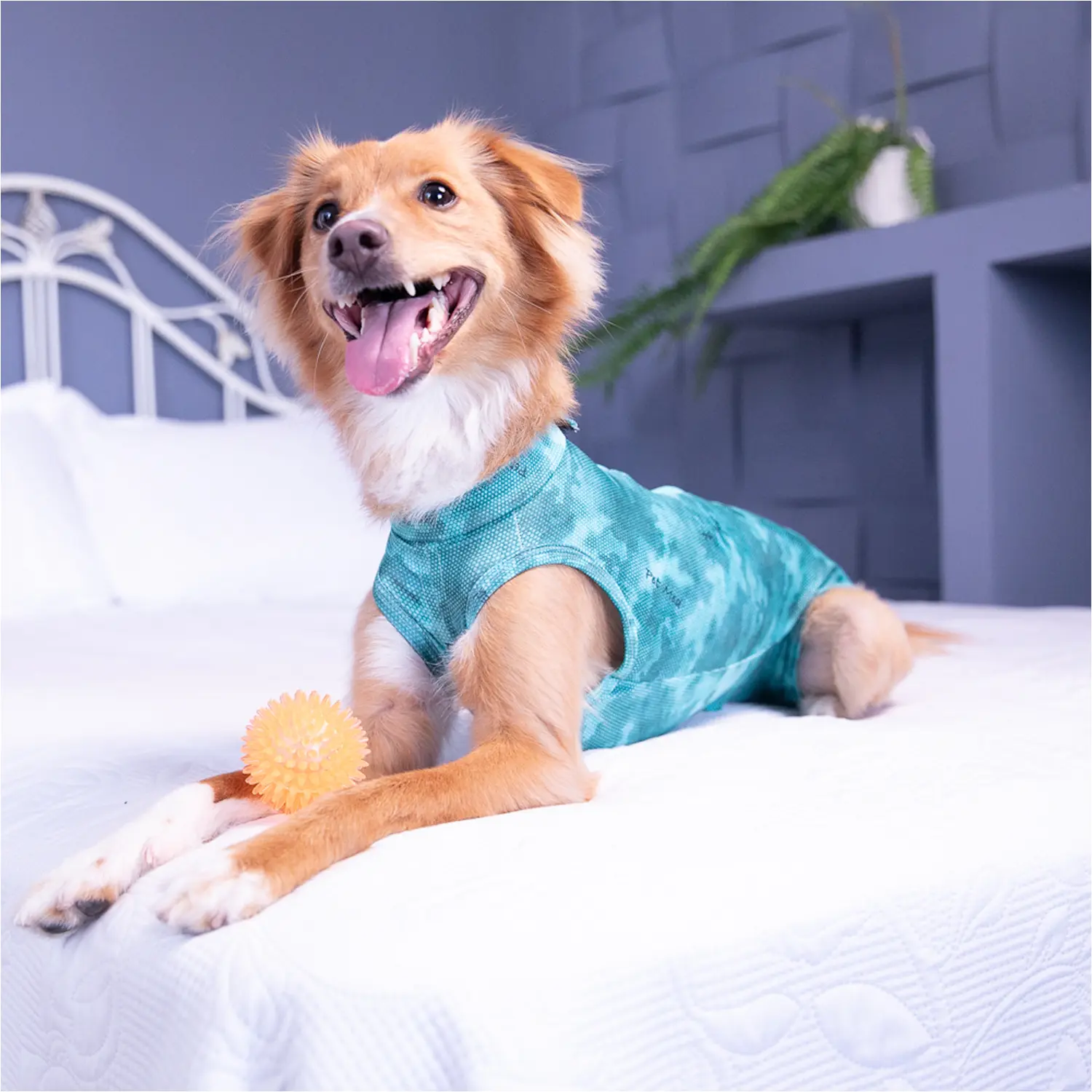 Dry-Light-Supreme-Verde-na-Cama