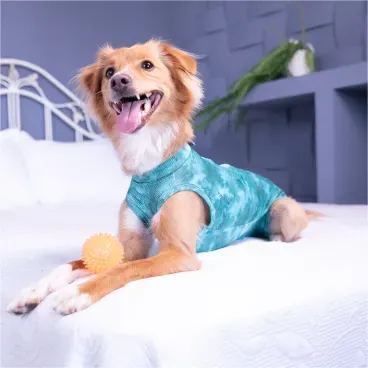 Dry-Light-Supreme-Verde-na-Cama