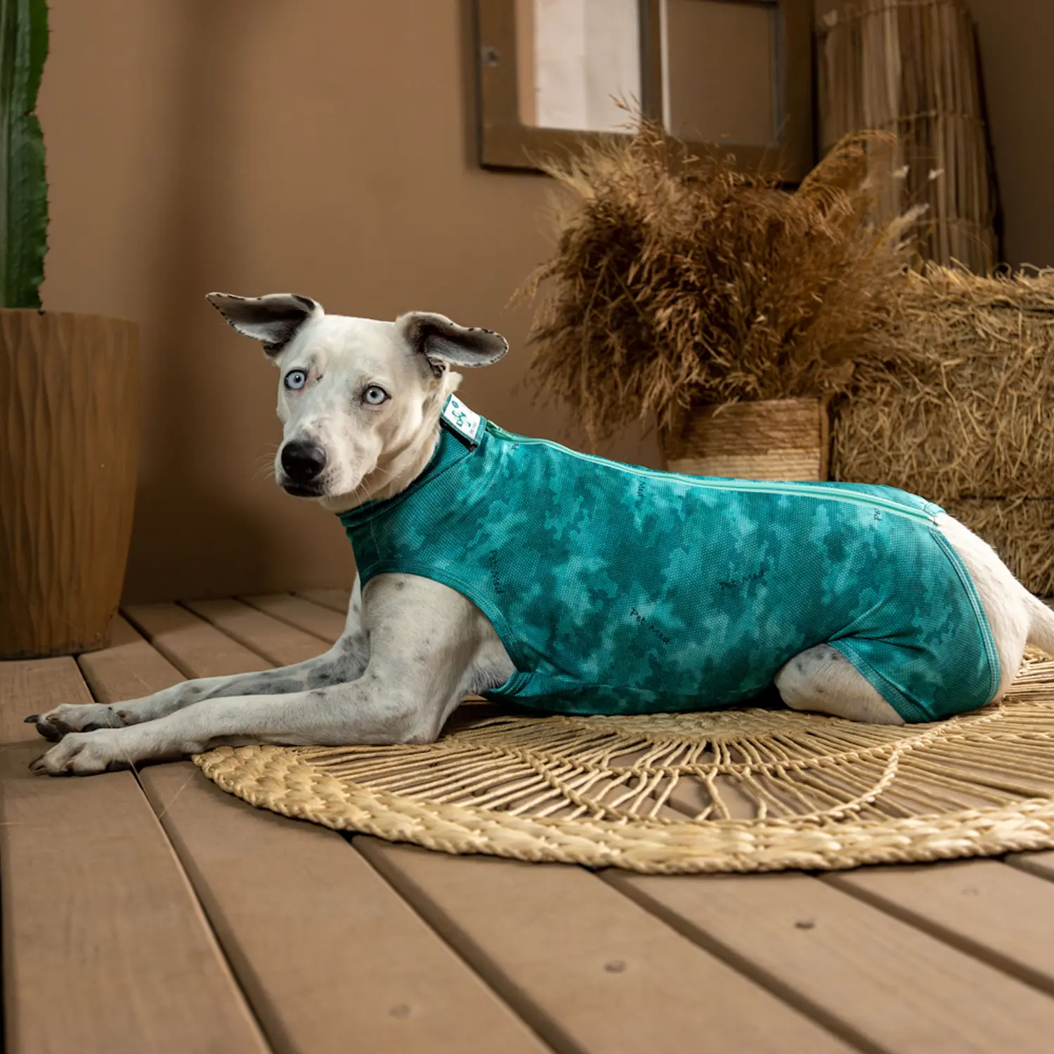 Dry-Light-Supreme-Verde-Ambiente