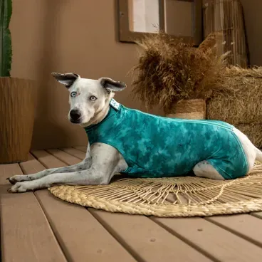 Dry-Light-Supreme-Verde-Ambiente