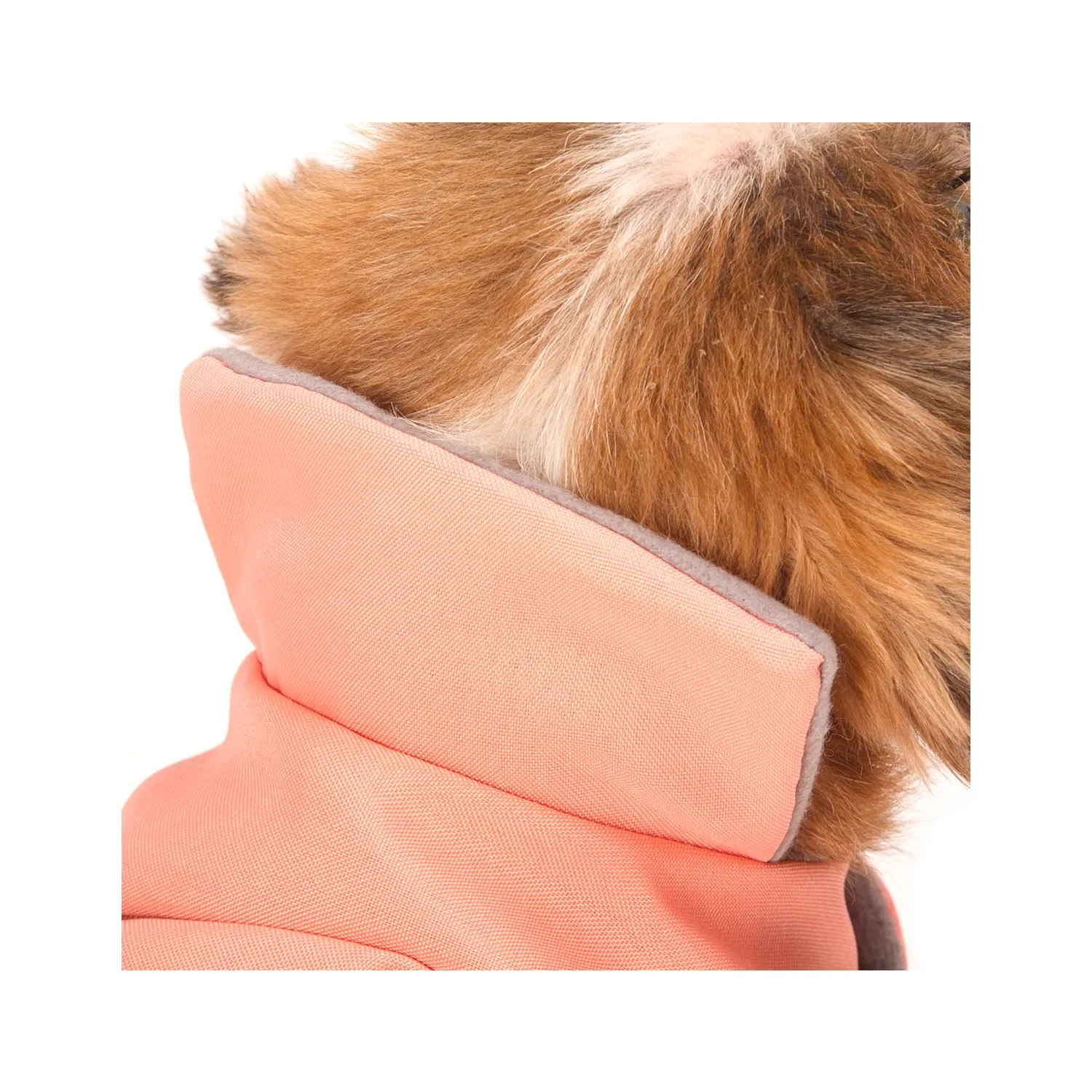 8_Capa Lisa Alfaiataria Rose Fabrica Pet