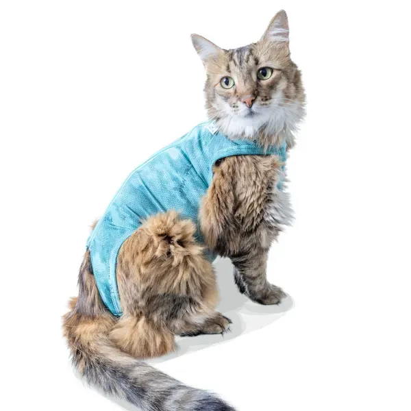 Roupa Pós-Cirúrgica Dry Light Supreme para Gatos Pet Med Verde Nº 2