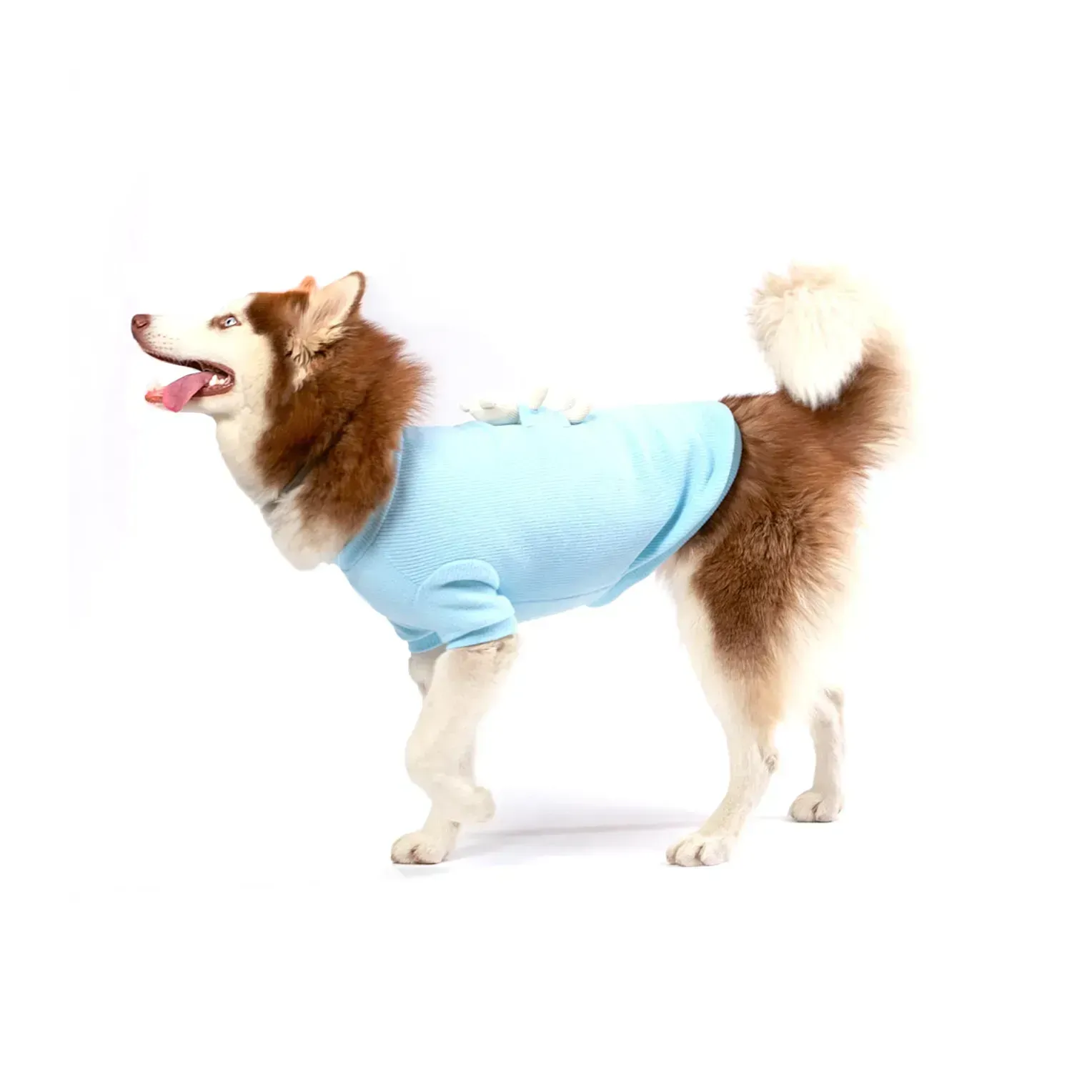 Casaco Bean para Cães e Gatos Emporium Distripet Azul