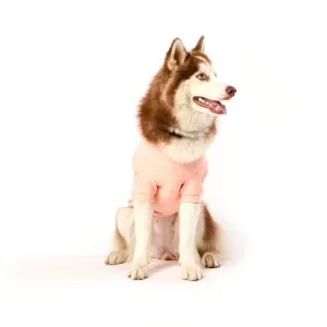 Casaco Bean para Cães e Gatos Emporium Distripet Rosa - XL