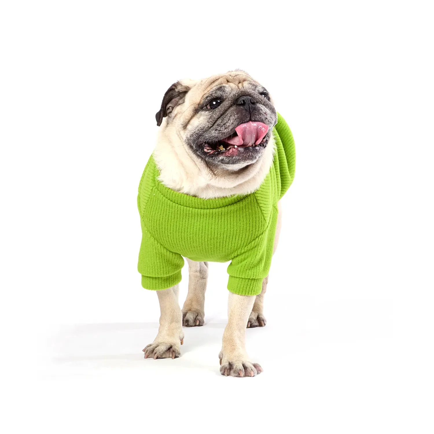 Casaco Bean para Cães e Gatos Emporium Distripet Verde