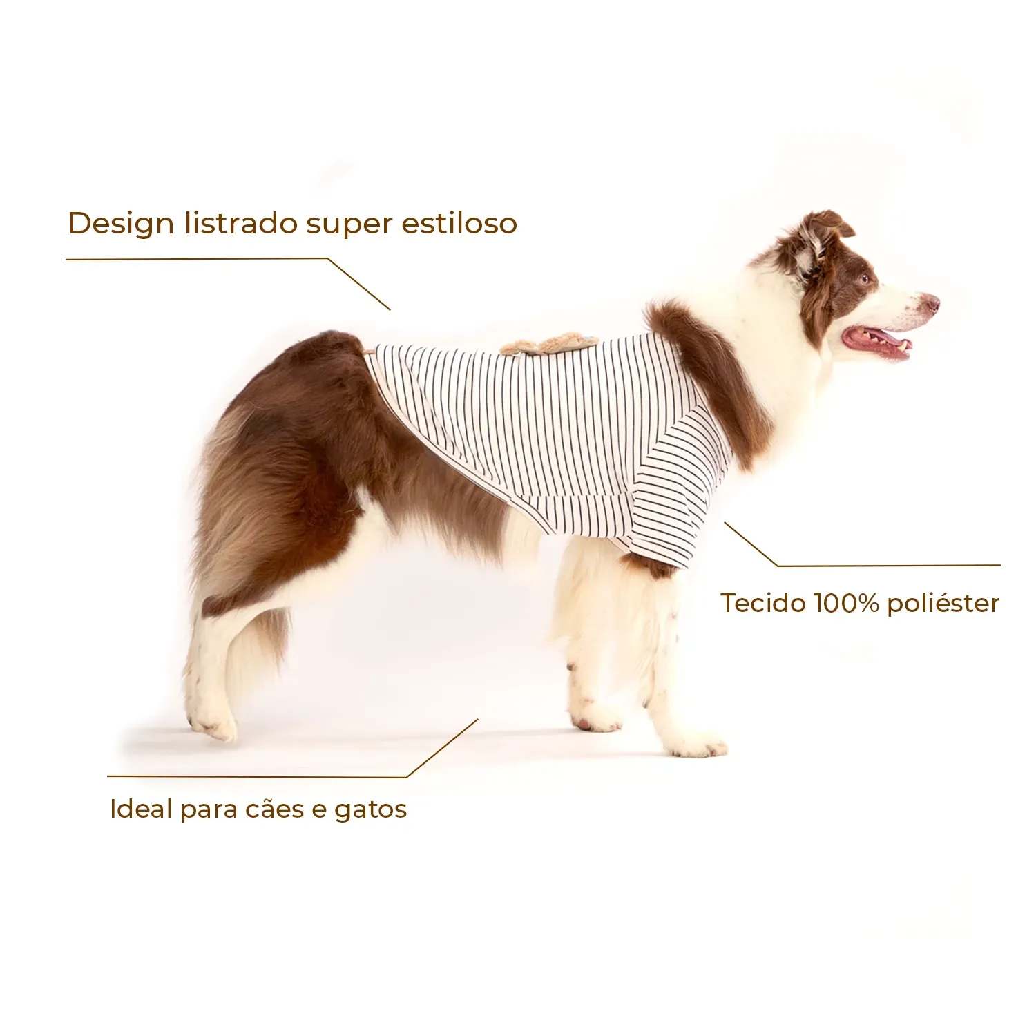 Casaco Toy para Cães e Gatos Emporium Distripet Offwhite