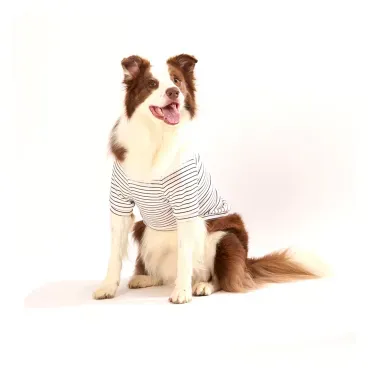 Casaco-Toy-para-Caes-e-Gatos-Emporium-Distripet-Offwhite