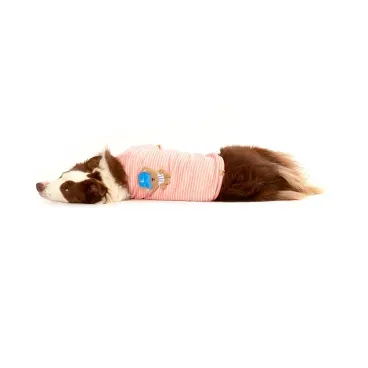 5_Casaco-Toy-para-Caes-e-Gatos-Emporium-Distripet-Rosa