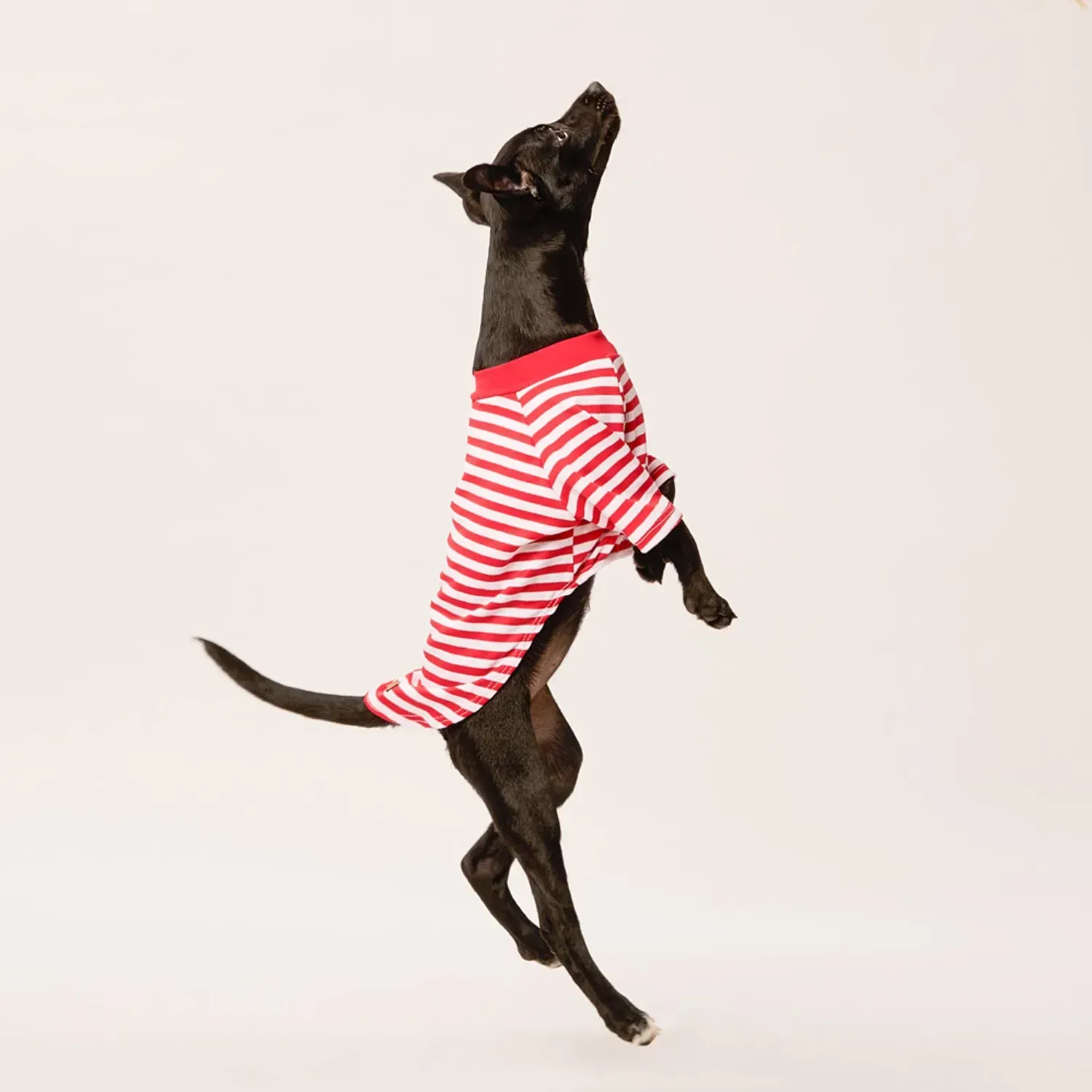 Blusa Listra Com Manga Vermelho Fábrica Pet